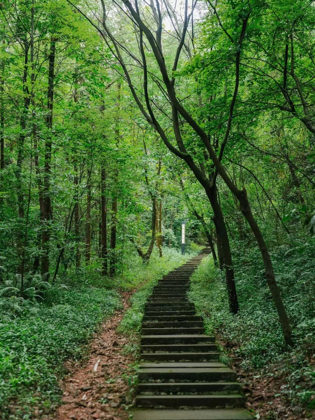 烂柯山
