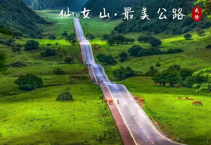 图片5