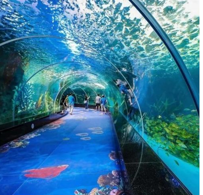 泉州八仙过海海洋世界