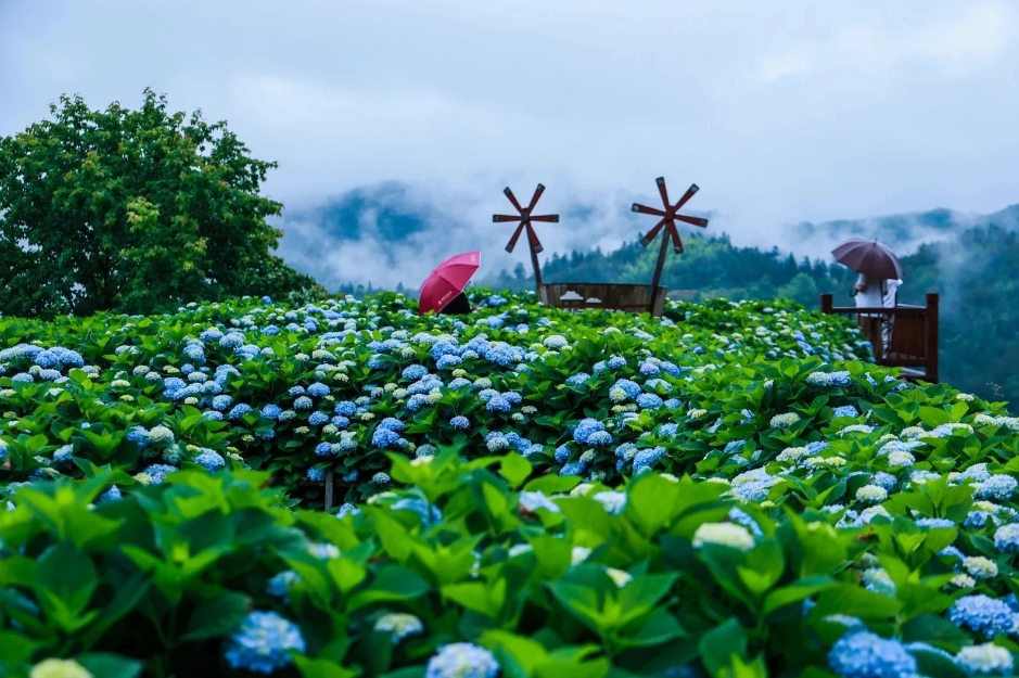 微信截图_20250523101155 微信截图_20250523101155