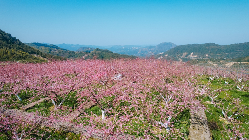 压缩过的筱村06 压缩过的筱村06