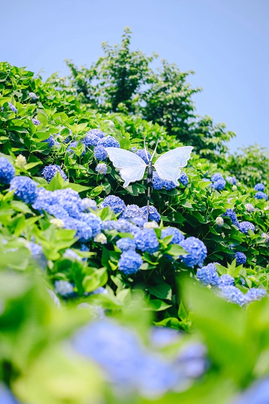 压缩过的筱村14 压缩过的筱村14