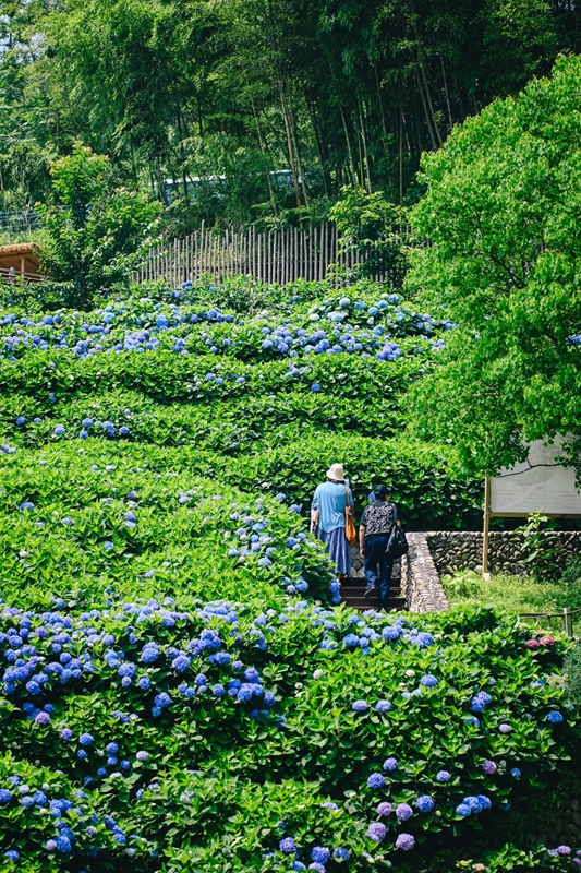 压缩过的筱村10 压缩过的筱村10