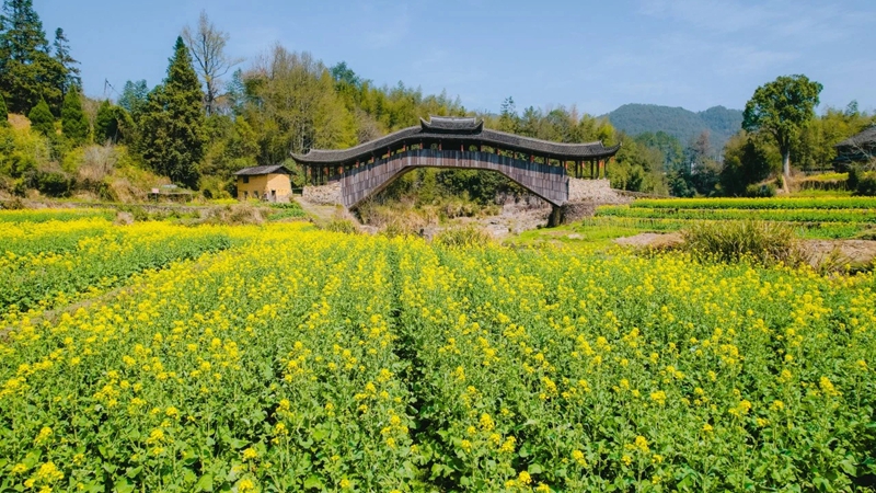 压缩过的筱村01 压缩过的筱村01