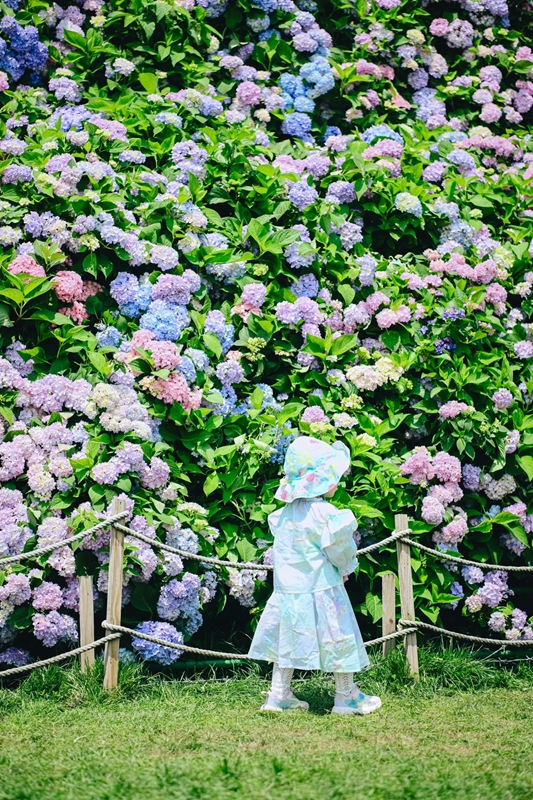 压缩过的筱村19 压缩过的筱村19