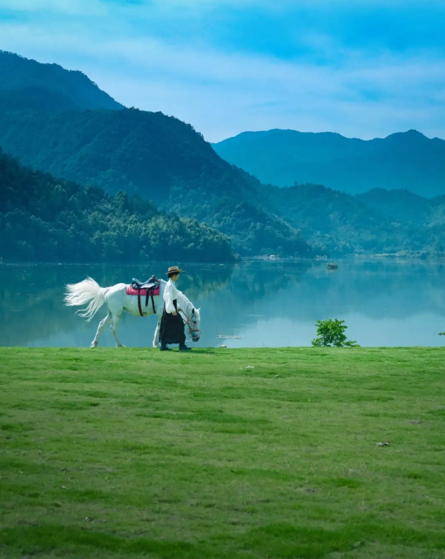 万芳草坪 万芳草坪