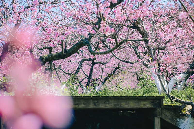 压缩过的筱村05 压缩过的筱村05