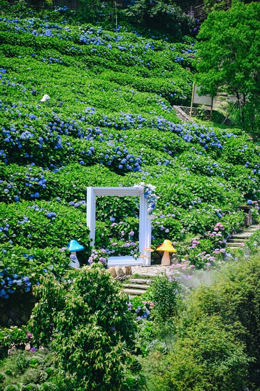 压缩过的筱村23 压缩过的筱村23