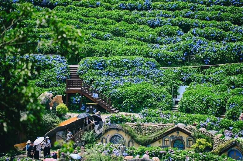 压缩过的筱村20 压缩过的筱村20