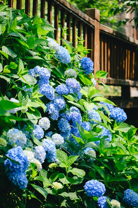 压缩过的筱村13 压缩过的筱村13